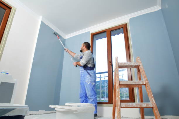 Best Drywall Removal and Disposal  in Mattawan, MI